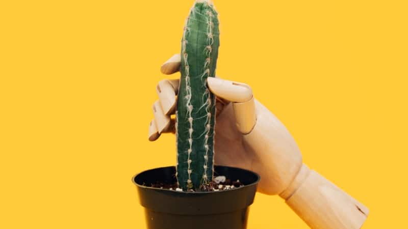 Handjob - so machst du's richtig - Anleitung & Tipps