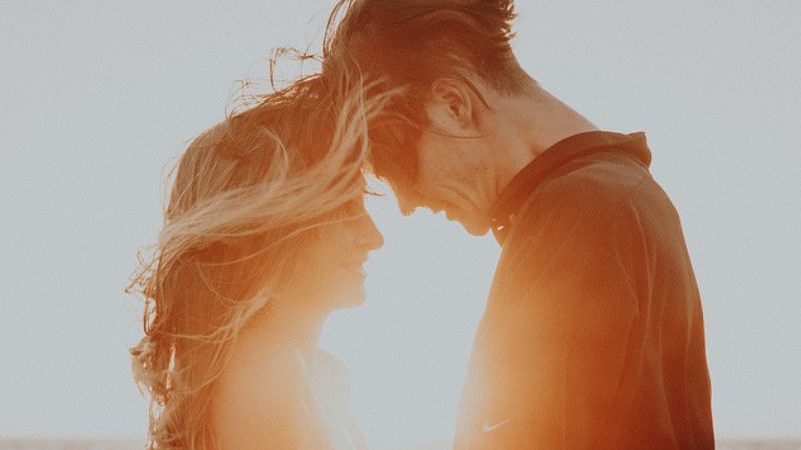 Schubkarren Sexstellung