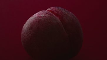 Anale Feigwarzen- Ursachen, Symptome und Behandlung