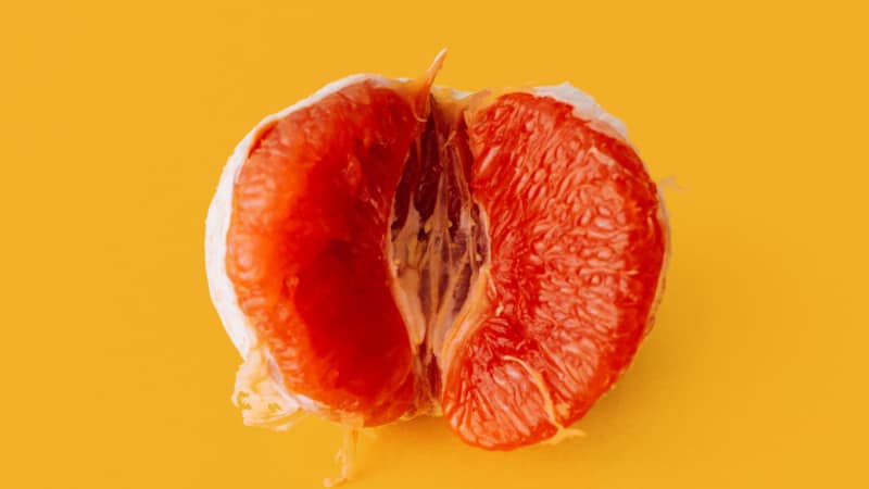 Die Vagina- Alles was du darüber wissen musst