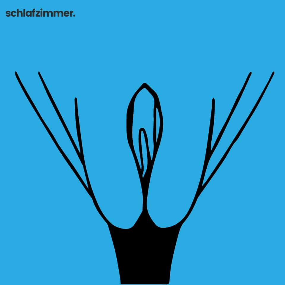 Gebogene-äußere-Lippen