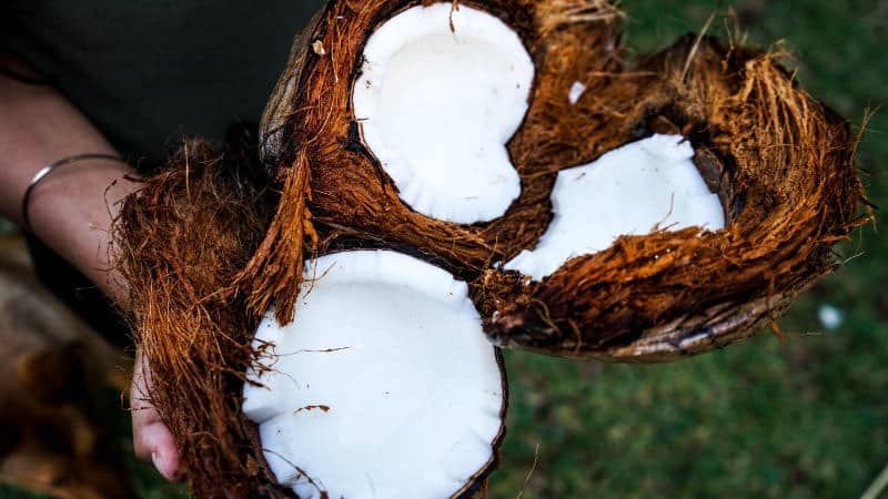 Kokosöl für Sex- Ist Kokosnussöl ein sicheres Gleitmittel?