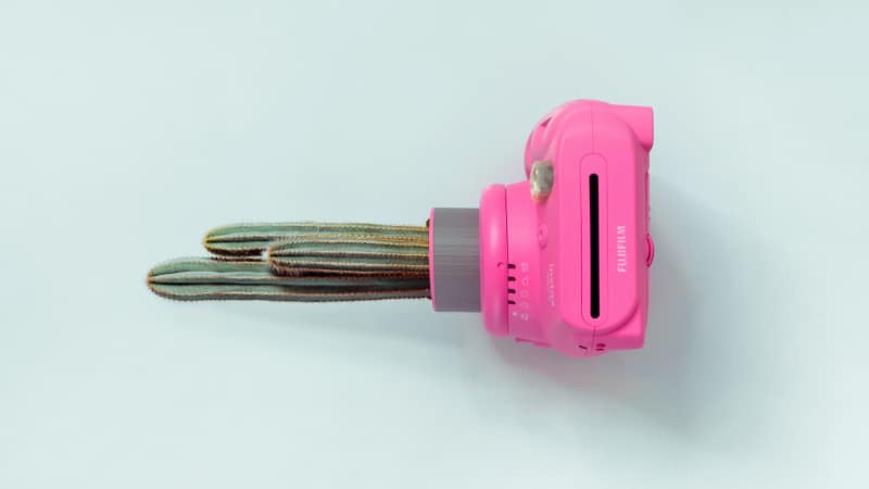 Dildopartys- Der etwas andere Mädelsabend mit frivolen Spaß