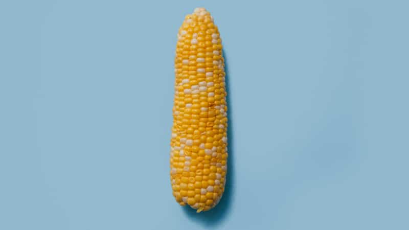 Penisform - Der Kurze und kräftige Penis