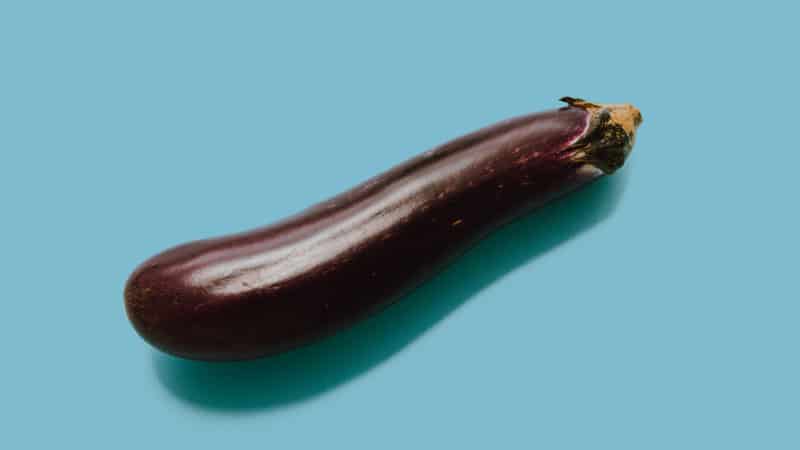 Penisform - Riesen Penis