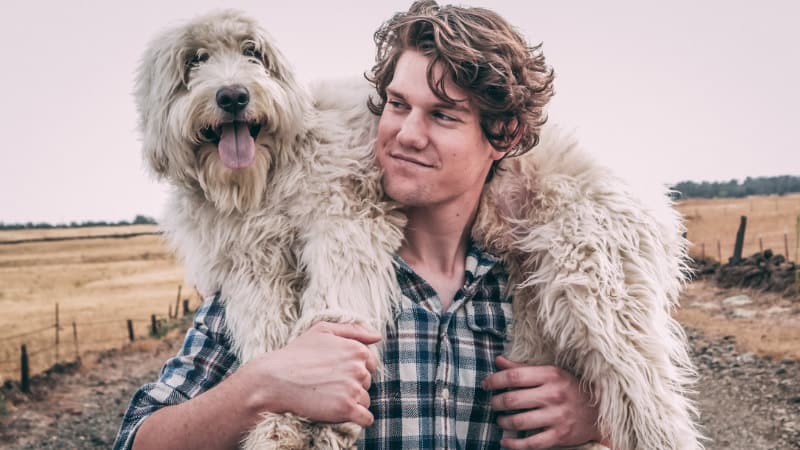 Ein Hund an deiner Seite