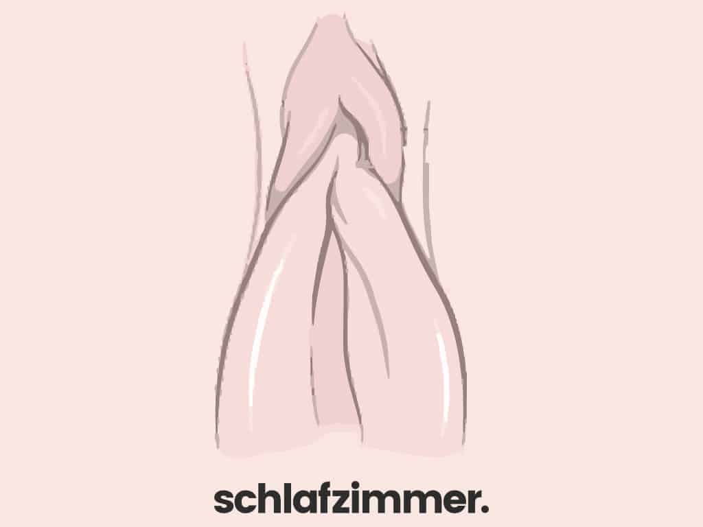 Klitorishaube