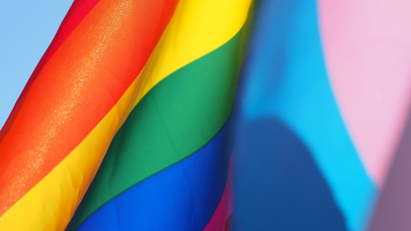 Die Transgender-Bewegung gibt es schon seit der 90er Jahre in Deutschland. Bisher kämpft die Bewegung für eine neutrale Daseinsberechtigung