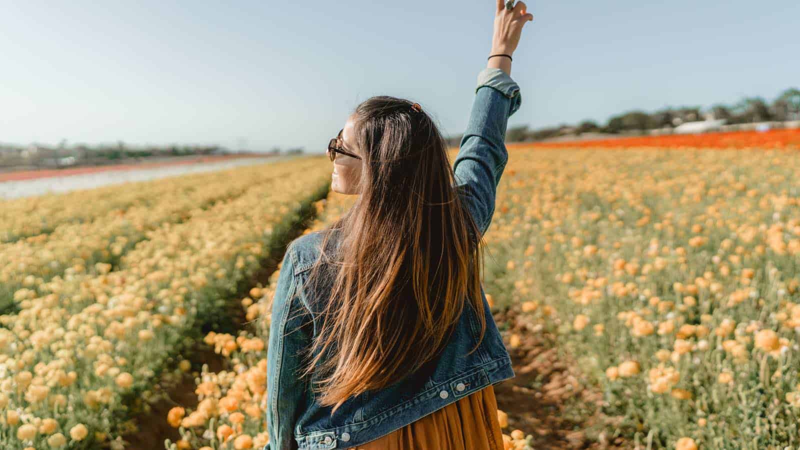 Mikropille- Anwendung, Vorteile, Nebenwirkungen und mehr!