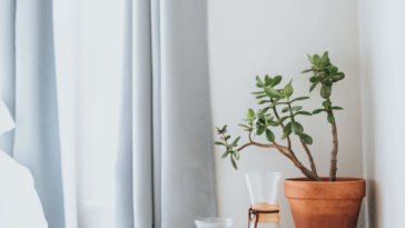 Die besten Vorhänge für das Schlafzimmer 2020 im Überblick